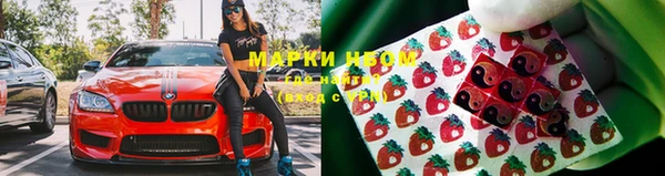 мяу мяу мука Алексеевка