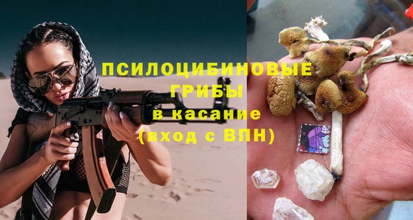 соль ск Алексин