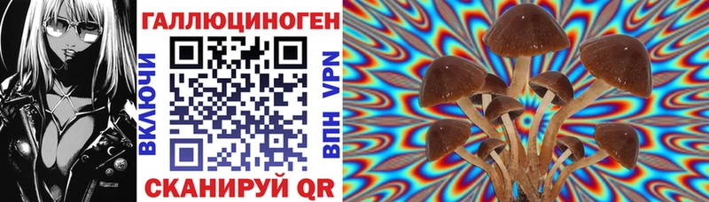 Псилоцибиновые грибы мухоморы  где продают наркотики  маркетплейс как зайти  Тайшет 